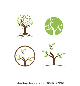 Tree nature illustration logo template vector design