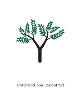 Tree nature illustration logo template vector design
