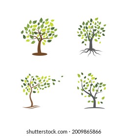 Diseño vectorial de la ilustración de la naturaleza del árbol