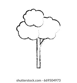 Tree nature isolated