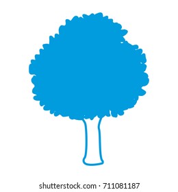 Tree nature isolated