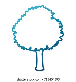 Tree nature isolated