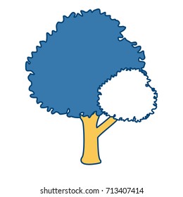 Tree nature isolated
