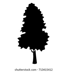 Tree nature isolated
