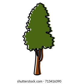 Tree nature isolated