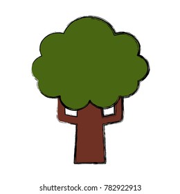 tree nature isolated