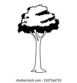Tree nature isolated in black and white