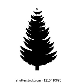 tree nature landscape