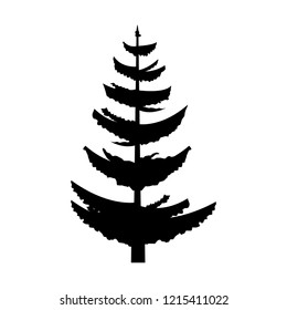 tree nature landscape
