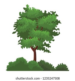 Tree nature landscape