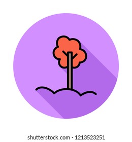 tree  nature  park 