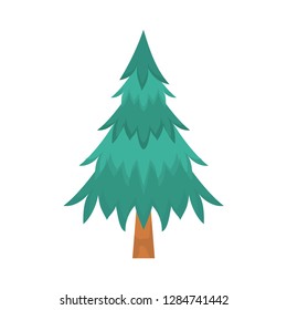 tree   nature   park  