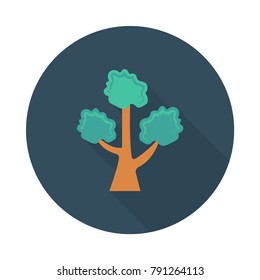 tree nature park