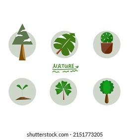 Tree nature and plants organic