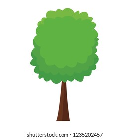 Tree nature symbol