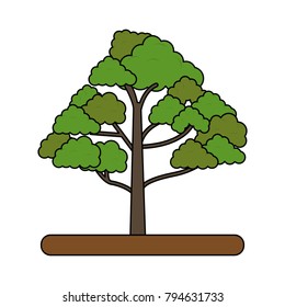 Tree nature symbol