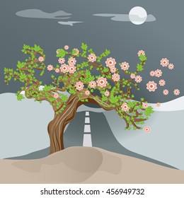 Tree near the road.