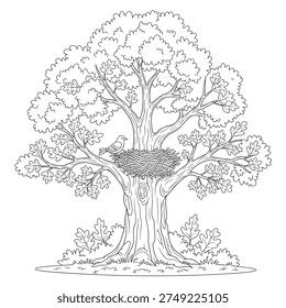 Tree Nest Birds Coloring Page for Kids line art