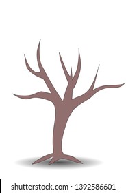 tree no leaf isolated on white background