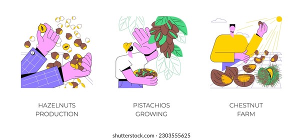 Producción de frutos de árbol aislados ilustraciones vectoriales de dibujos animados conjunto. El agricultor controla la producción de avellanas, el cultivo comercial de pistachos, el cultivo de castañas, la temporada de cosecha, la caricatura de vectores agroindustriales.