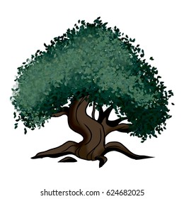 Tree oak