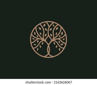 Plantilla de diseño vectorial del logotipo del emblema del árbol roble de Banyan Maple Emblem