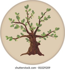 Tree, oak, Bonsai, vector