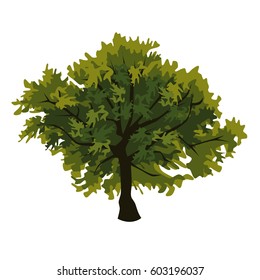 Tree oak clip art, vector