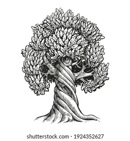 Tree oak. Hand drawn vintage sketch vector illustration