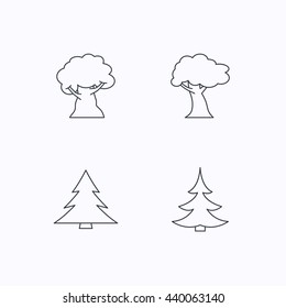 Tree, oak-tree and christmas tree icons. Forest trees linear signs. Flat linear icons on white background. Vector
