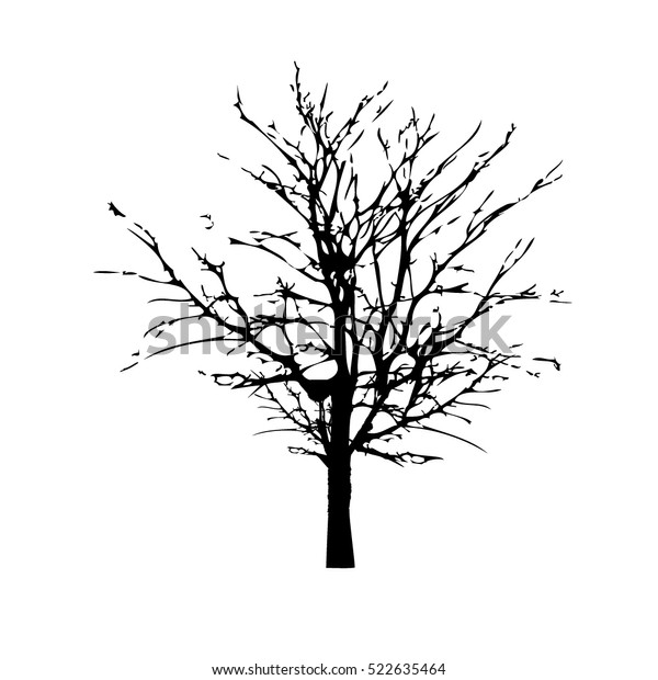 Tree Object Tracing Vector Stock Vector (Royalty Free) 522635464