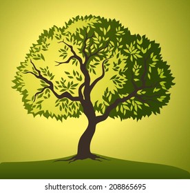 tree. Olive oil. Vector  olive tree. defoliation