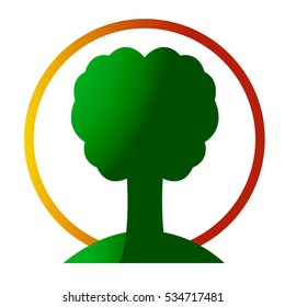 tree on a background of the sun