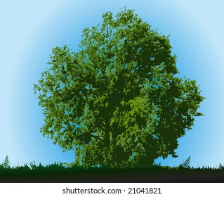 Tree on blue sky in summer day