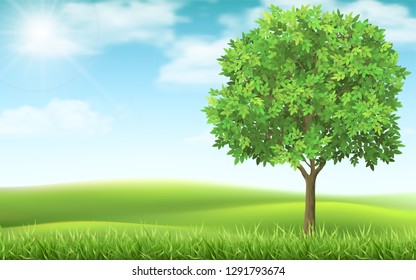 Tree on country spring landscape background. Green meadow and blue sky. Natural landscape with a calm beautiful scene. Hills on the horizon.