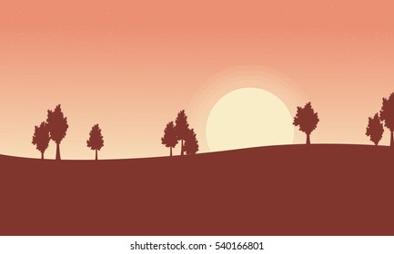 Tree on desert landscape backgrounds