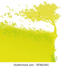 Tree on the edge and risk