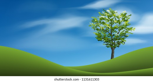 Tree on green grass hill with blue sky. Abstract background park and outdoor for landscape idea. Use for natural article both on print and website. Vector illustration.