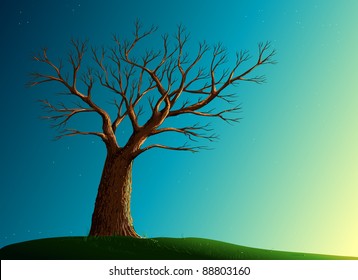 Tree on green lawn