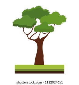 Tree on ground