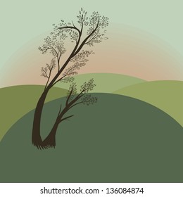 The tree the hill