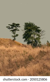 	
tree on the hill with yellow grass