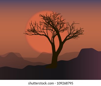 Tree on sunset . Vector illustration.