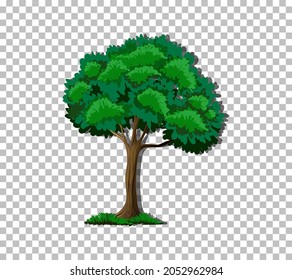 Tree on transparent background illustration