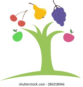 tree on which everything grows and fruits
