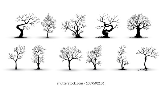 tree on white background