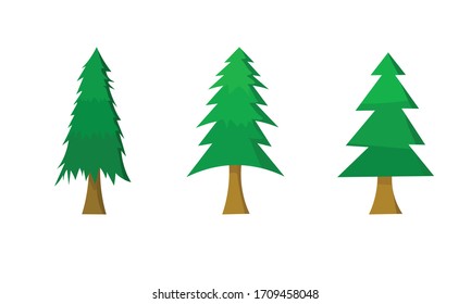 A tree on a white background
