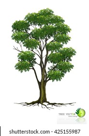 tree on white background