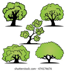 tree on white background
