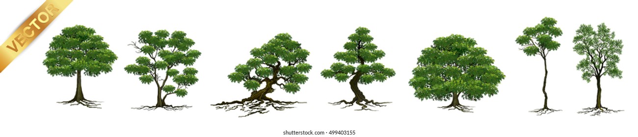 tree on white background